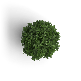 Plante Entretien Rouaud Travaux